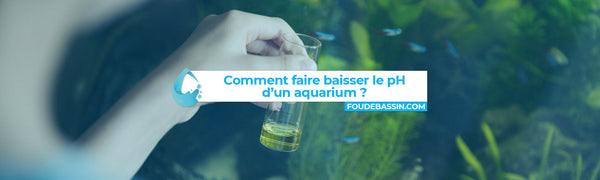 Comment faire baisser le pH d'un aquarium ?
