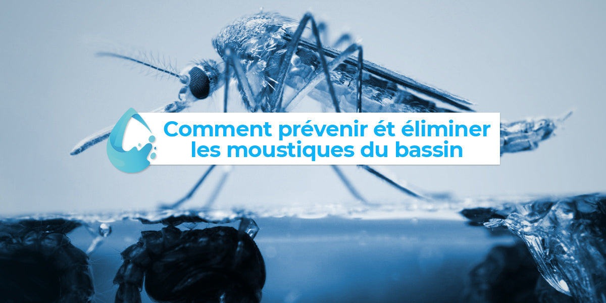 Comment éliminer les moustiques du bassin de jardin ?