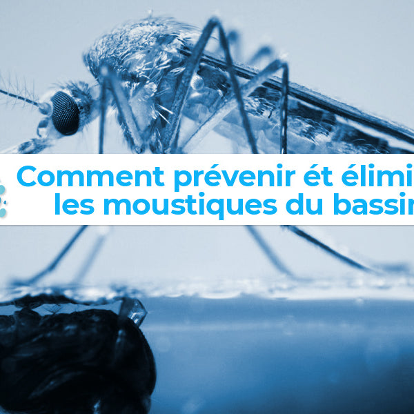 Comment éliminer les moustiques du bassin de jardin ?