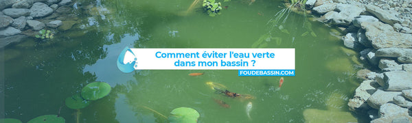 Comment éviter l'eau verte dans mon bassin ?