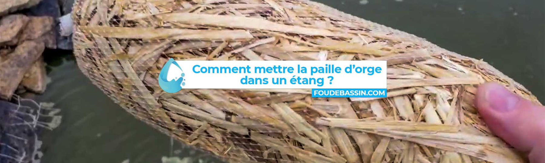 Comment mettre la paille d’orge dans un étang?