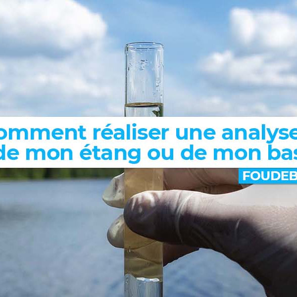 Comment réaliser une analyse d'eau de mon étang ou de mon bassin ?