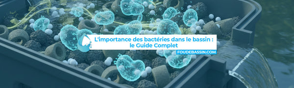L'importance des bactéries dans votre bassin : le Guide complet pour débutants et amateurs