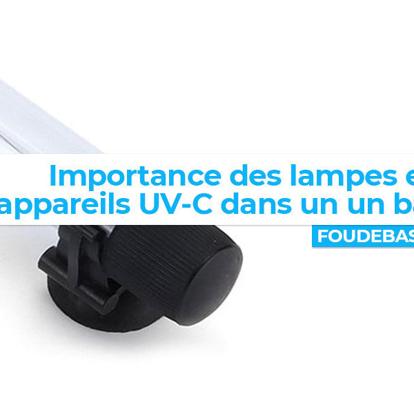 Importance des lampes et appareils UV-C dans un bassin
