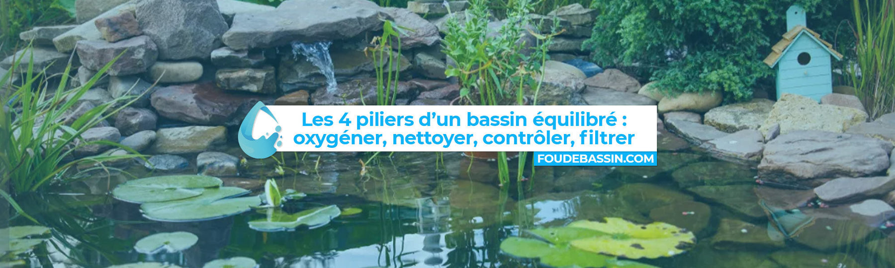 Les 4 piliers d’un bassin équilibré : oxygéner, nettoyer, contrôler, filtrer