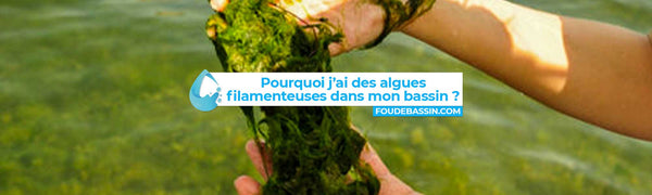 Pourquoi j'ai des algues filamenteuses dans mon bassin ?