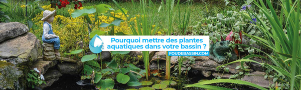 ¿Por qué poner plantas acuáticas en el estanque?