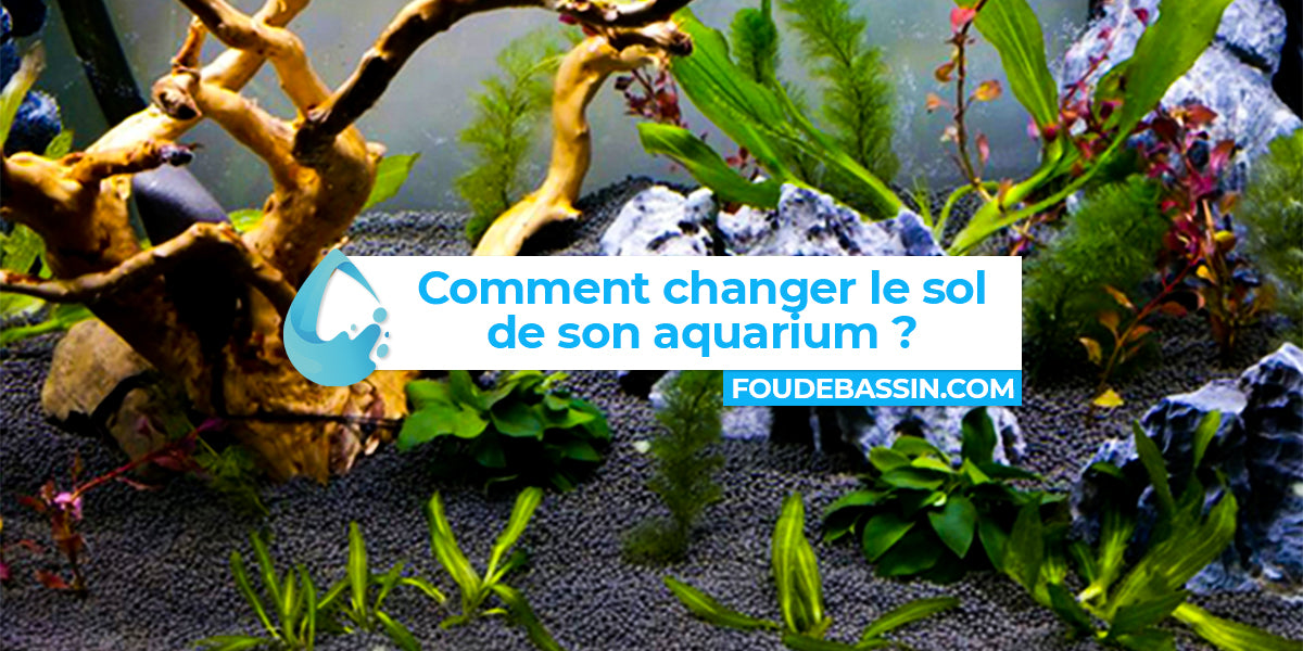 Comment changer le sol de son aquarium ?