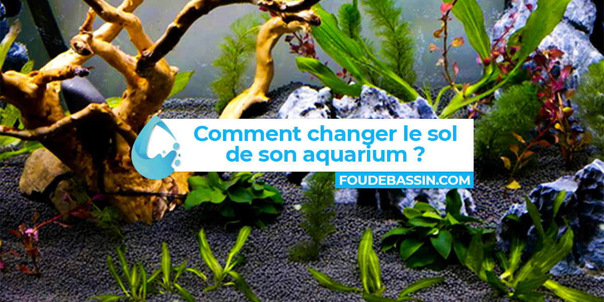 Comment changer le sol de son aquarium ? —