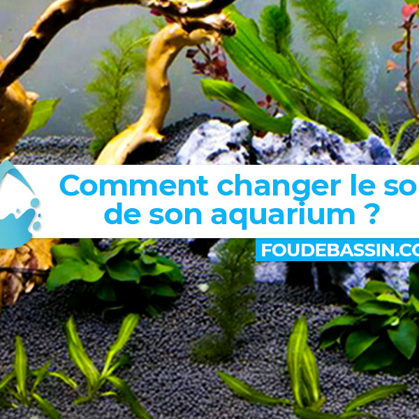 Comment changer le sol de son aquarium ?