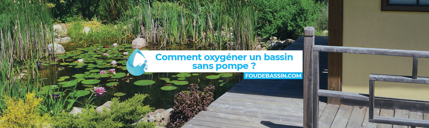 Comment oxygéner un bassin sans pompe : guide pratique pour un écosystème équilibré