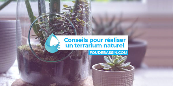 6 conseils pour réaliser un terrarium naturel