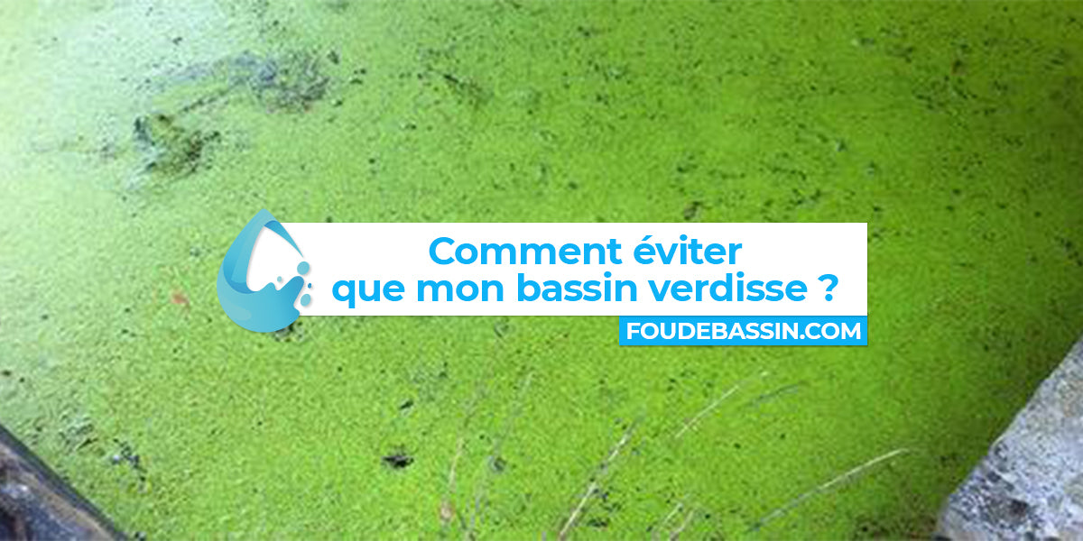 Comment éviter que son bassin verdisse?