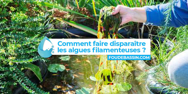 Comment faire disparaitre les algues filamenteuses?