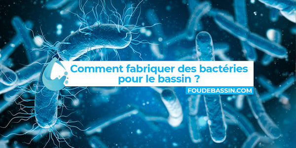 Comment fabriquer des bactéries pour le bassin ?