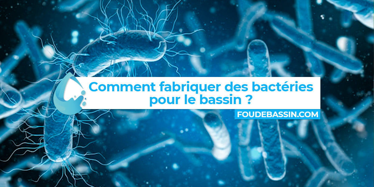 Comment fabriquer des bactéries pour le bassin ?