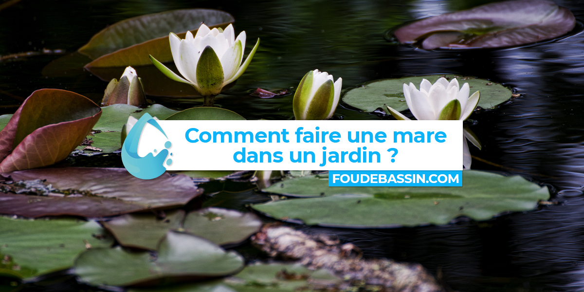 Comment faire une mare dans un jardin ?