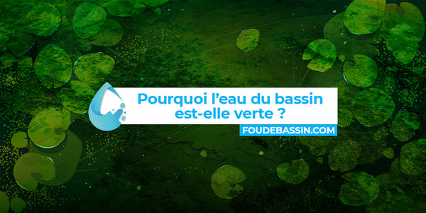 Pourquoi l’eau de votre étang ou de votre bassin est-elle verte ?