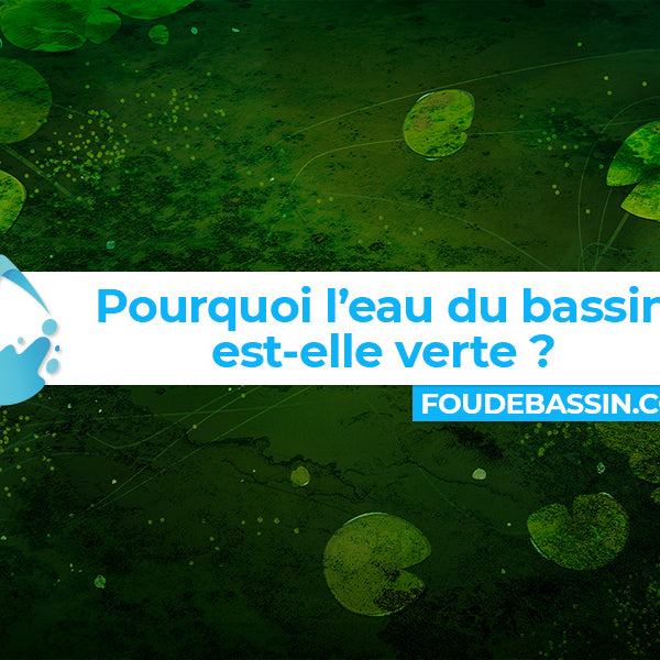 Pourquoi l’eau de votre étang ou de votre bassin est-elle verte ?