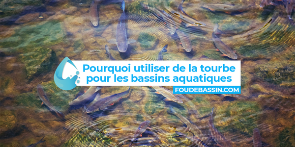 Pourquoi utiliser de la tourbe pour les bassins aquatiques ?
