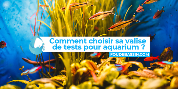 Which aquarium test case to choose?