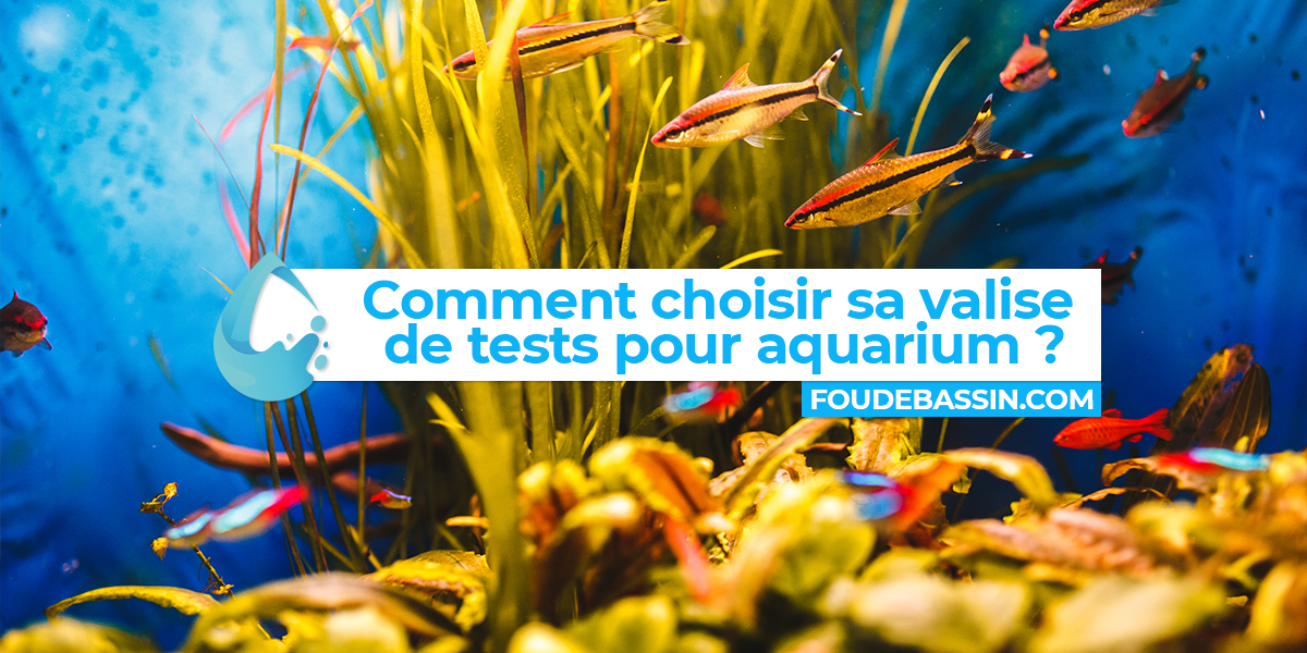 Quelle valise de test pour aquarium choisir?