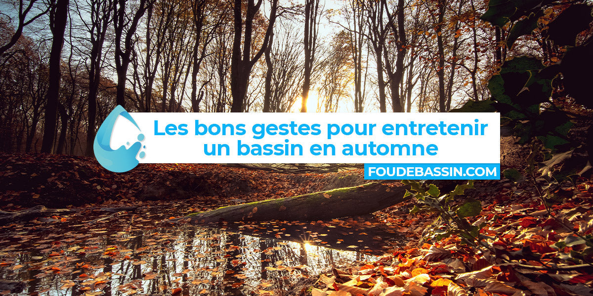 Les bons gestes pour entretenir un bassin de jardin à l’approche de l’automne