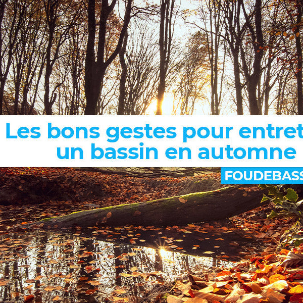 Les bons gestes pour entretenir un bassin de jardin à l’approche de l’automne