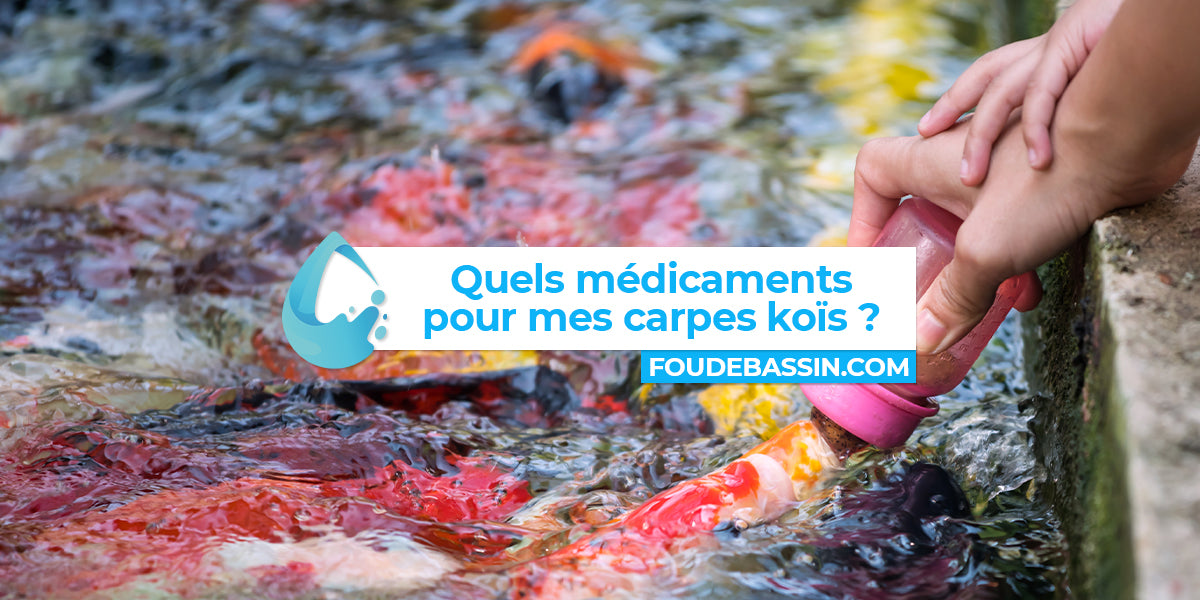 Quels médicaments pour mes carpes koïs ?