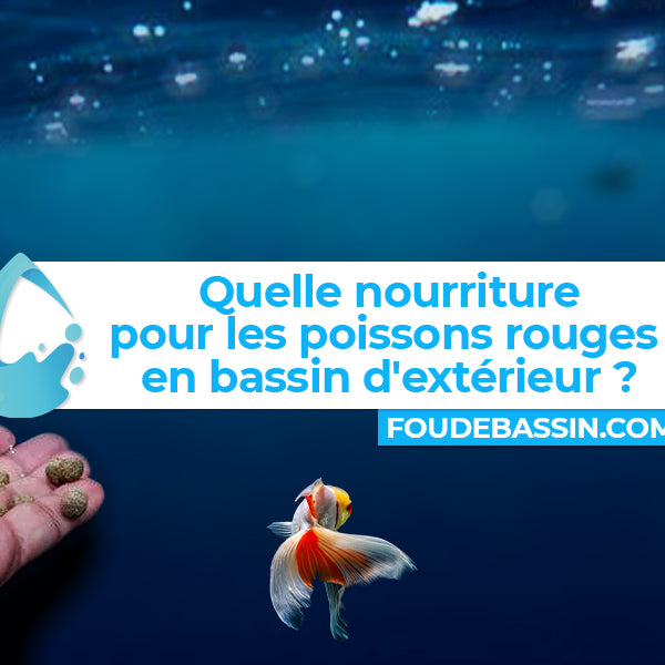 Quelle nourriture pour mes poissons rouges en bassin d'extérieur ?