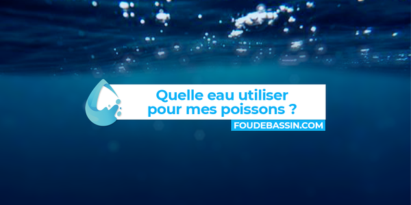 ¿Qué agua usar para mis peces?