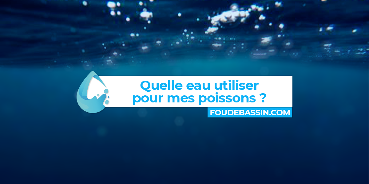 Quelle eau utiliser pour mes poissons ?