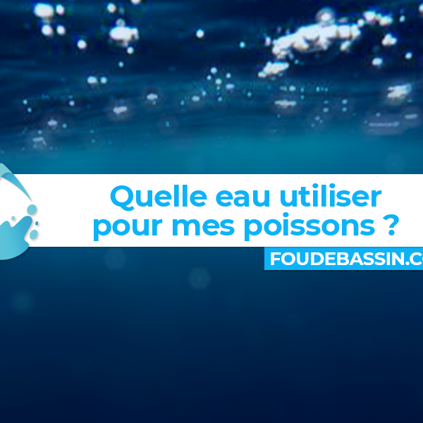 Quelle eau utiliser pour mes poissons ?