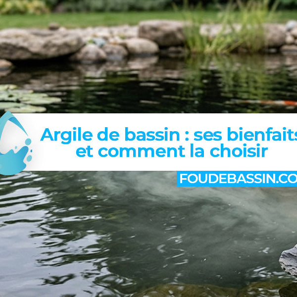 Argile de bassin : ses bienfaits et comment la choisir