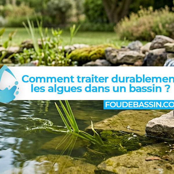 Comment traiter durablement les algues dans un bassin ? Les meilleures solutions pour traiter les algues