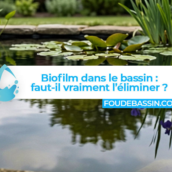 Biofilm dans un bassin : tout ce que vous devez savoir avant d'essayer de l'éliminer