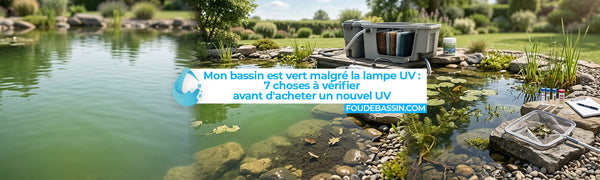 Mon bassin est vert malgré la lampe UV : les 7 choses à vérifier avant d'acheter un nouvel UV