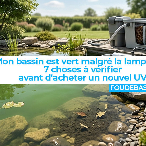 Mon bassin est vert malgré la lampe UV : les 7 choses à vérifier avant d'acheter un nouvel UV