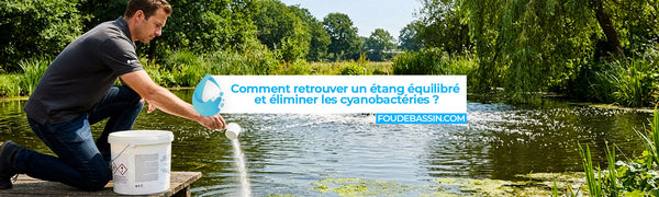 How can I restore a balanced pond and eliminate cyanobacteria?