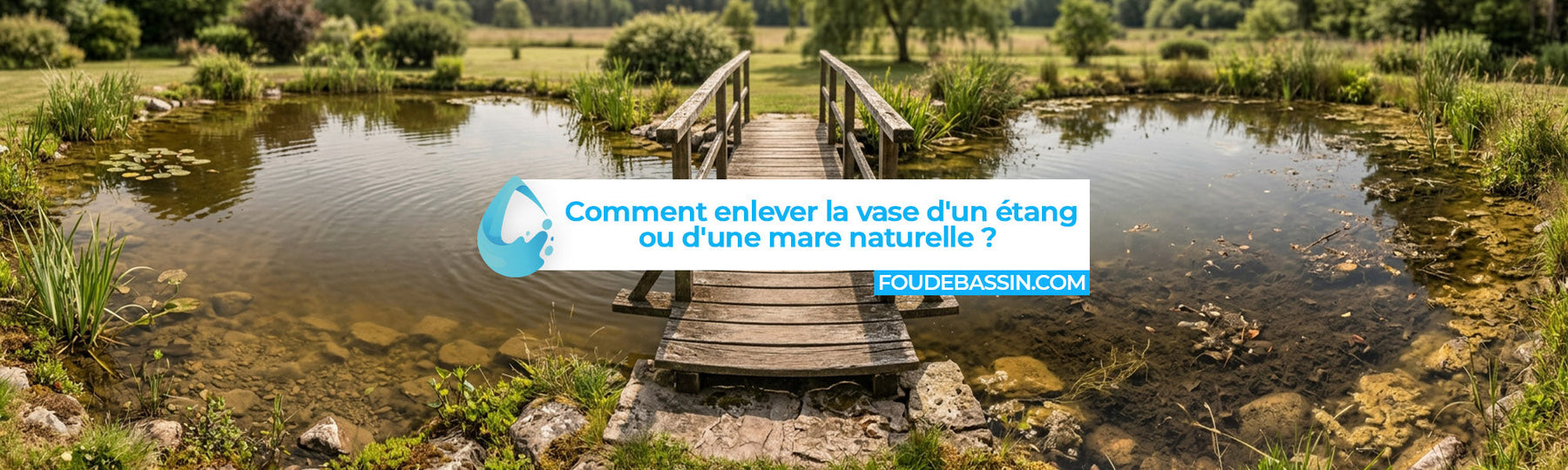 Comment enlever la vase d'un étang ou d'une mare naturelle ?