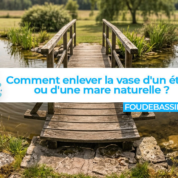 Comment enlever la vase d'un étang ou d'une mare naturelle ?