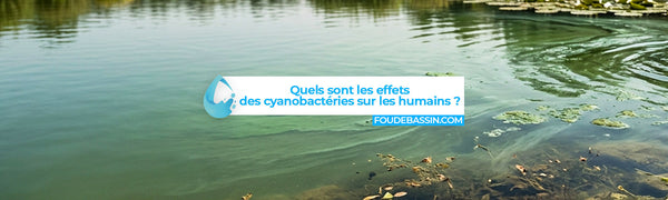 Quels sont les effets des cyanobactéries sur les humains ?