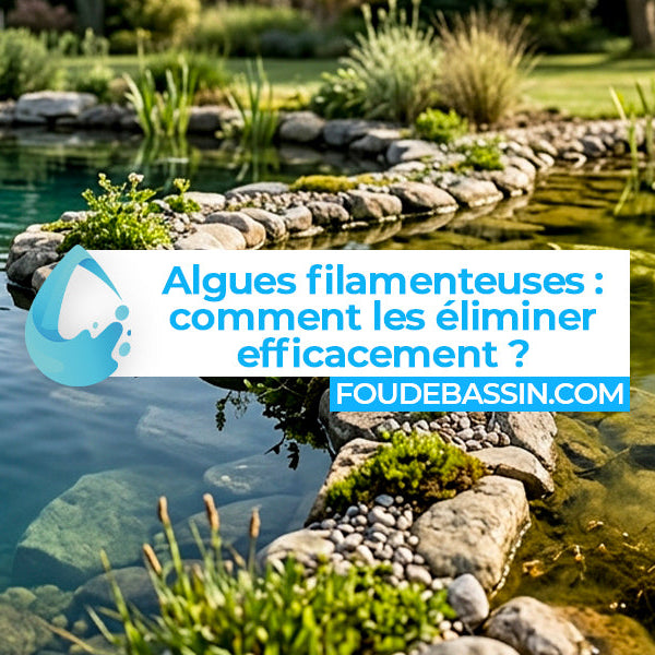 Algues filamenteuses dans un bassin ou un étang : comment les éliminer efficacement ?
