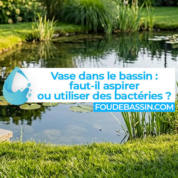 Vase dans le bassin : faut-il aspirer ou utiliser des bactéries ?