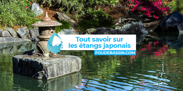 Tout savoir sur les étangs japonais, ces espaces dédiés à la relaxation et la méditation