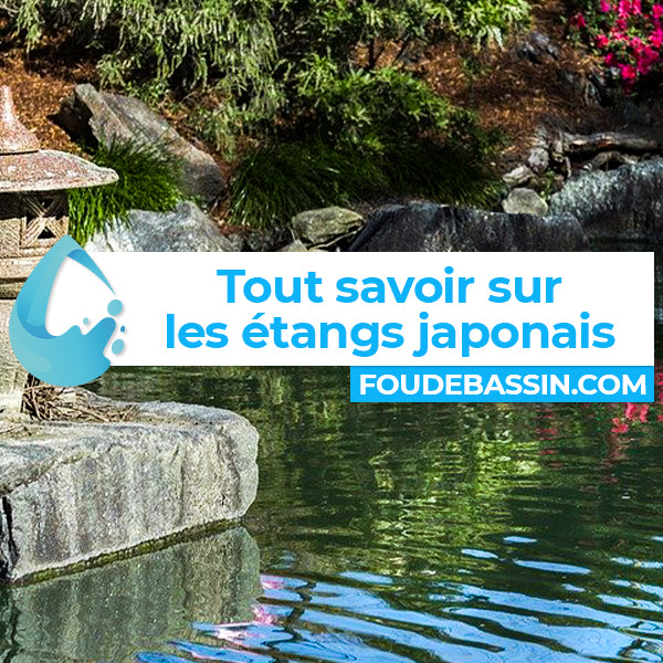 Tout savoir sur les étangs japonais, ces espaces dédiés à la relaxation et la méditation