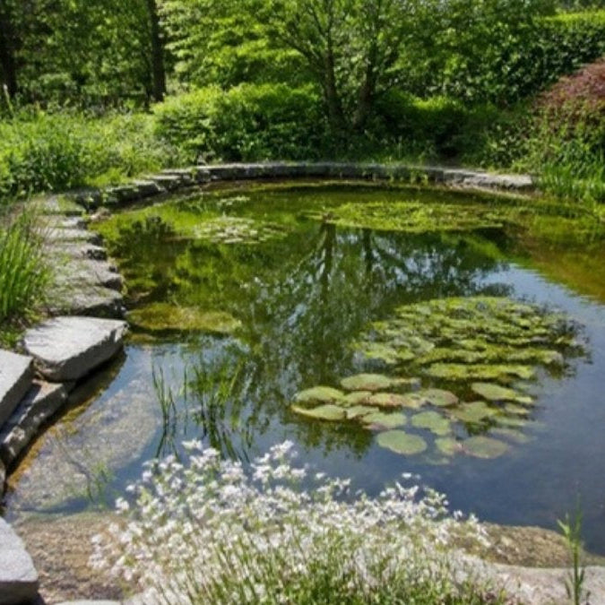 Faire son bassin de jardin avec une bâche – Foudebassin