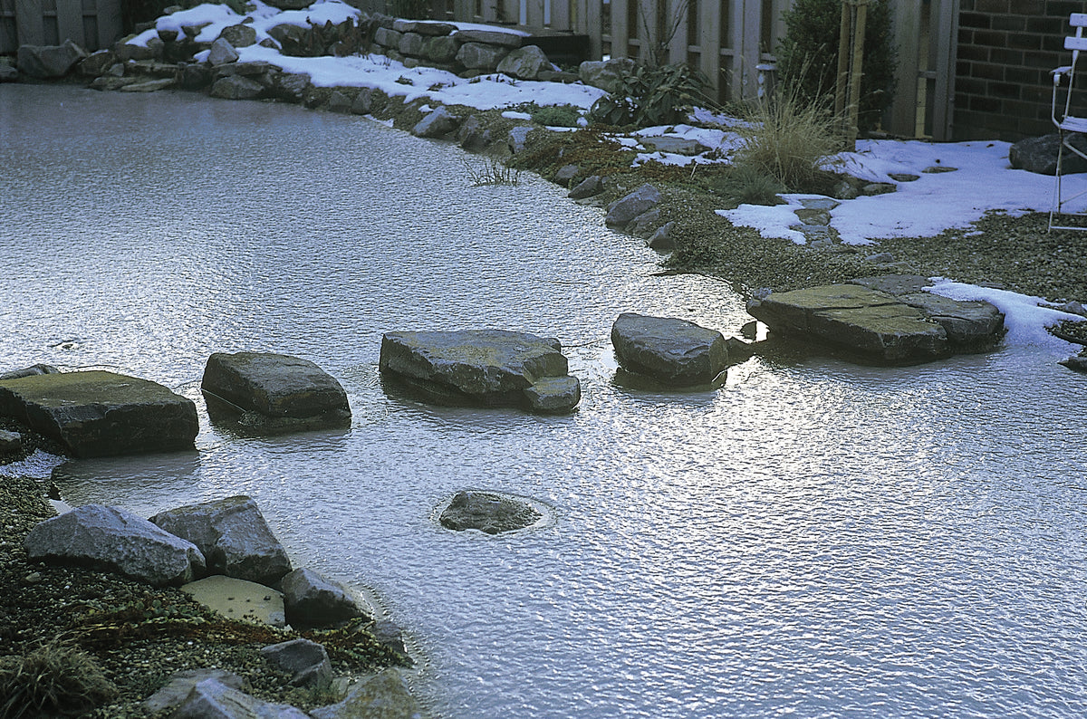 Les bons gestes pour votre étang ou bassin en hiver