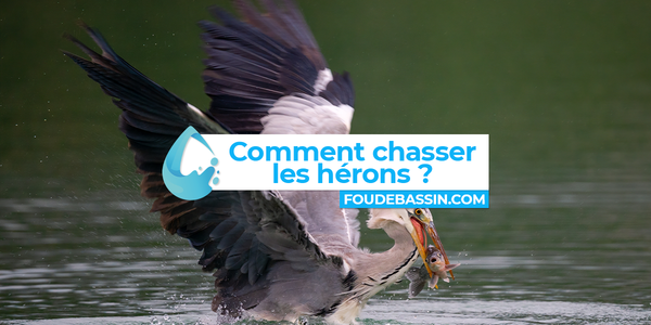 [PROPUESTA CRO] ¿Cómo ahuyentar a una garza y hacer que se aleje de su estanque?