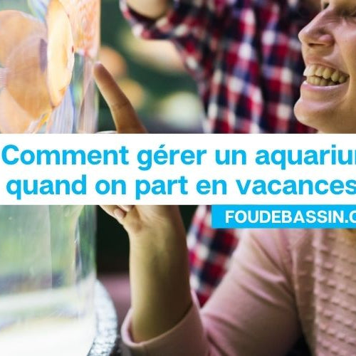 Comment gérer un aquarium quand on part en vacances?